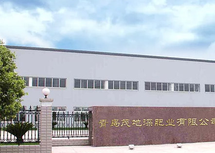 企业优势